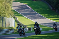 Middle 2 Group Black Bikes